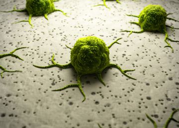 Descubierta una posible diana terapéutica contra el cáncer más mortal