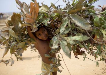 La megaciudad de refugiados rohinyás que ha brotado en Bangladés