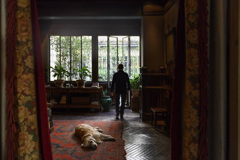Una de las salas de su hogar, con el patio de fondo, en la que descansa sobre una gran alfombra su perro, un golden.