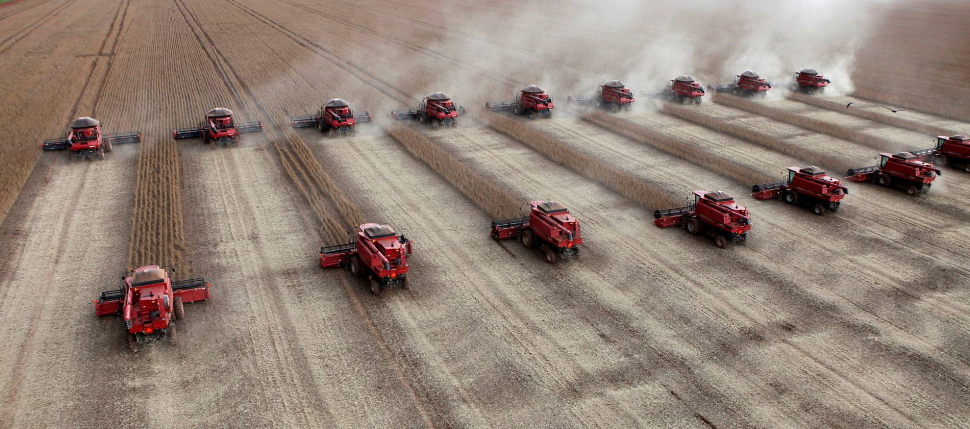 FILE PHOTO: Workers harvest soybeans in a farm in the city of Tangara da Serra in Cuiaba March 27, 2012. REUTERSPaulo WhitakerFile Photo