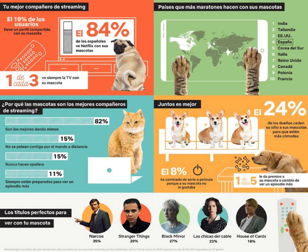 Dime si tienes perro o gato y te contaré qué serie vas a ver