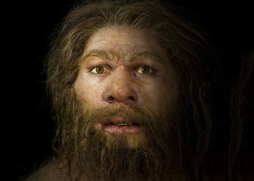 Matemáticas para descifrar la evolución de las especies