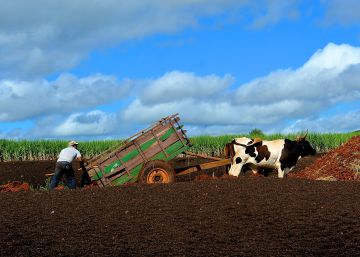 ¿Será la agroecología el futuro de la alimentación?