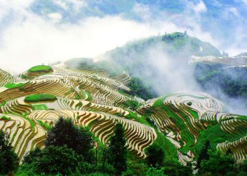 Artesãos da terra: as novas joias da agricultura mundial