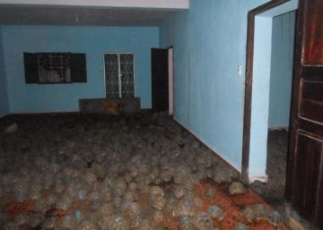 Rescatadas más de 10.000 tortugas en peligro de extinción en Madagascar