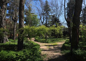Así es por dentro la Finca Vista Alegre