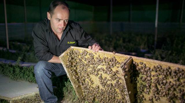 Miguel Ángel Toledo explota una pequeña granja.