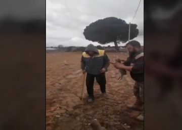 Tres agricultores “siembran” conejos muertos para protestar contra las
plagas