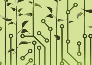 Futuro renovable y consenso posible