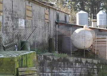 Spanish police rescue Colombians kept in slave-like conditions on pig farm