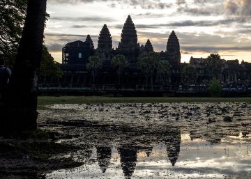 Explosión de vida en Camboya