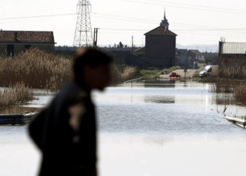 ¿Quién dejó morir ahogados a 94 cerdos en Aragón?