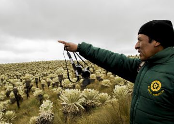 Los indígenas que cuidan la tierra, el agua, la sabiduría y el futuro