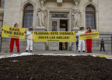 La UE prohibeix l’ús de tres insecticides nocius per a les abelles en cultius a l’aire lliure