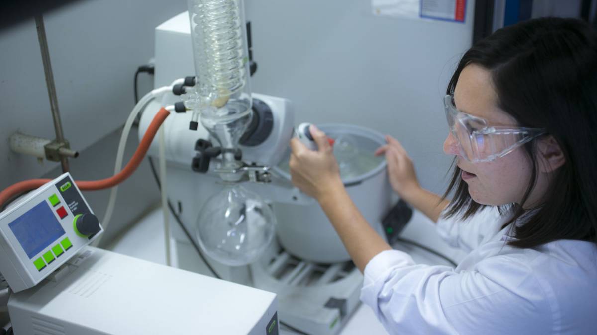 Investigadora de la Universidad Pública de Navarra.