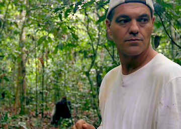 Frank de la Jungla fue a ver gorilas y volvió sorprendido por los humanos