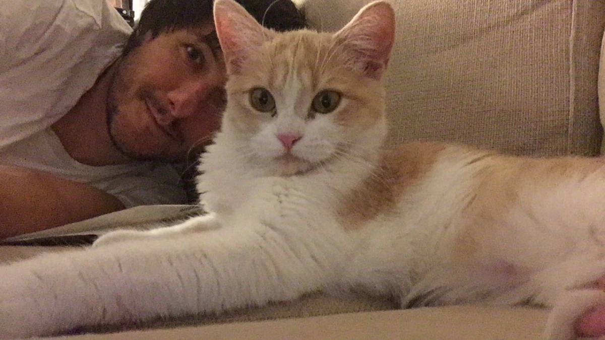 'Mía'. la gata que sí entró en casa, haciéndose un selfie conmigo.