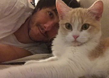 En mi casa no entra un gato. Y punto.
