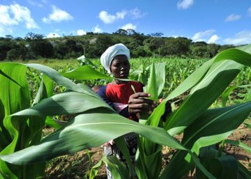 Las agricultoras africanas pagan cara la corrupción en las tierras