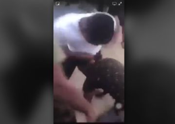 Una fiesta acaba en un tiroteo de más de 50 disparos