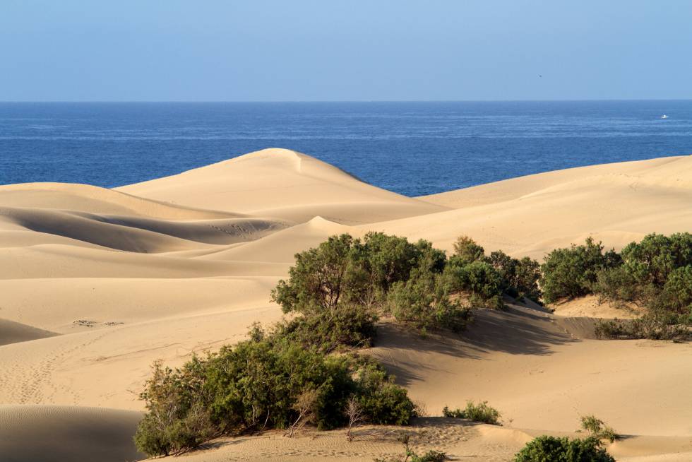 ¿A dónde viajarán los españoles en el verano 2018?