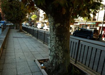 ¿Cuántos árboles por habitante hacen falta en las ciudades?