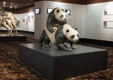 Diez museos bizarros: de los condones de los Rolling a la invasión extraterrestre