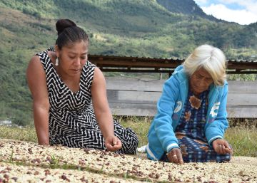 Las mujeres (indígenas) que alimentan a América Latina