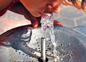 Qué agua es mejor, ¿la del manantial de la montaña o la de la fuente de la ciudad?