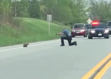 Un policía dispara a una marmota a sangre fría en mitad de una carretera