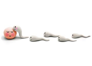 Combine así abstinencia y frecuencia sexual para mejorar la calidad de sus espermatozoides