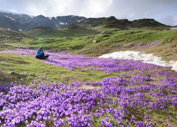 Las mejores ‘apps’ para salir al campo en primavera