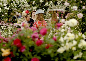 El 'Chelsea Flower Show' de 2018, en imágenes