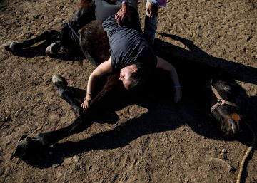 El susurrador de caballos