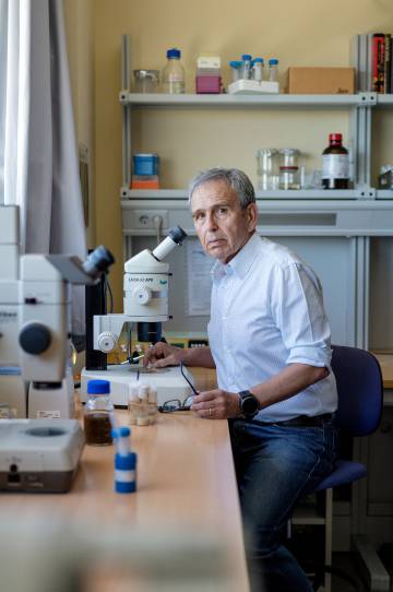 El prestigioso biólogo Ginés Morata trabaja en el Centro de Biología Molecular Severo Ochoa, un instituto en el que investigan científicos del CSIC y profesores de la UAM.
