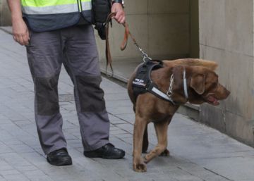 Police stage mass raids in Catalonia over alleged diversion of public funds