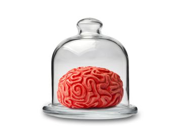 Se o cérebro precisa de açúcar para funcionar, por que devemos parar de consumi-lo?
