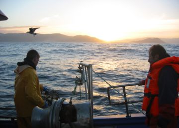 ¿Dónde se están llevando el mar?