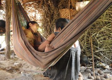 Mortes recentes de índios isolados trazem à tona velhos traumas do contato