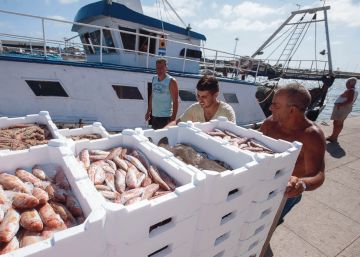 ¿Qué puedes hacer tú por los mares?