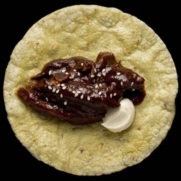 POLLO AL MOLE