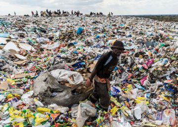 Día mundial del medio ambiente: la lucha contra los plásticos, en imágenes