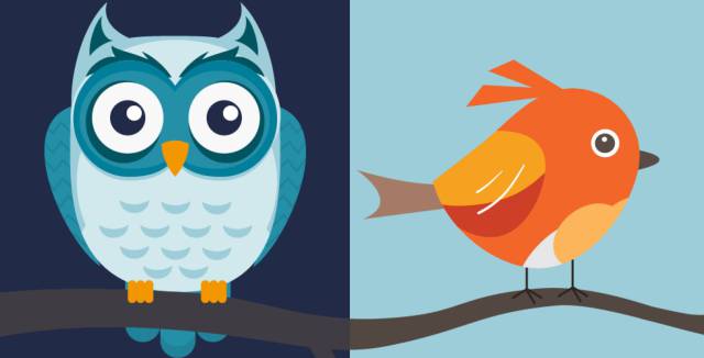 How being a “night owl” or “morning lark” can affect your life expectancy
