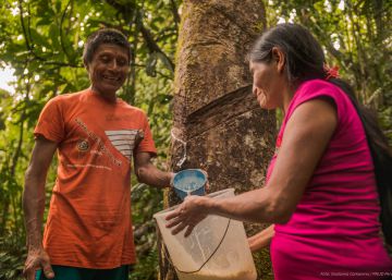 La Amazonía que queremos sí existe
