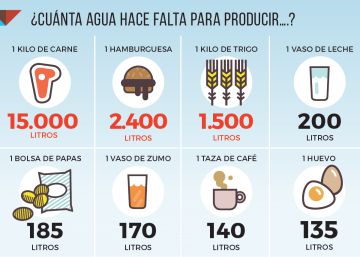Ocho gráficos para entender los retos del planeta