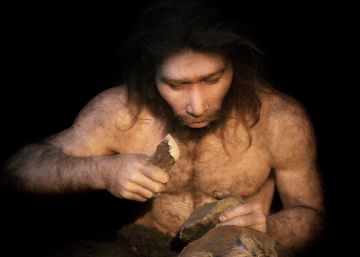 La difusa frontera entre las especies