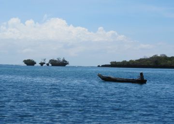 Pescadores decididos a salvar los arrecifes de coral
