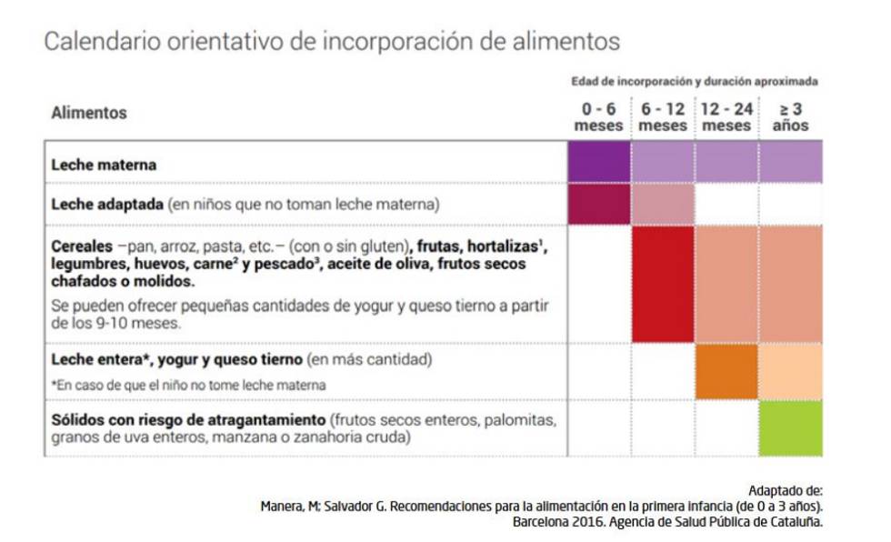 ‘Baby Led Weaning’: los bebés eligen qué quieren comer. Y los pediatras lo aprueban