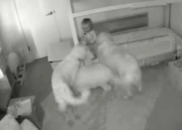 Una cámara oculta revela cómo un bebé consigue escapar de su cuarto