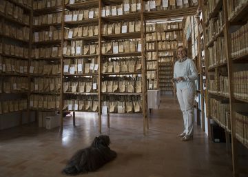 Archivo histórico de la Fundación Medina Sidonia: una tonelada de papel con ocho siglos de historia